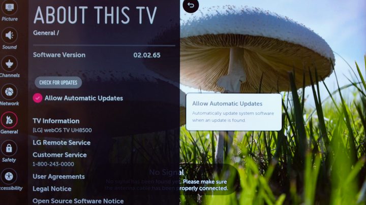 LG TV Automatic Updates