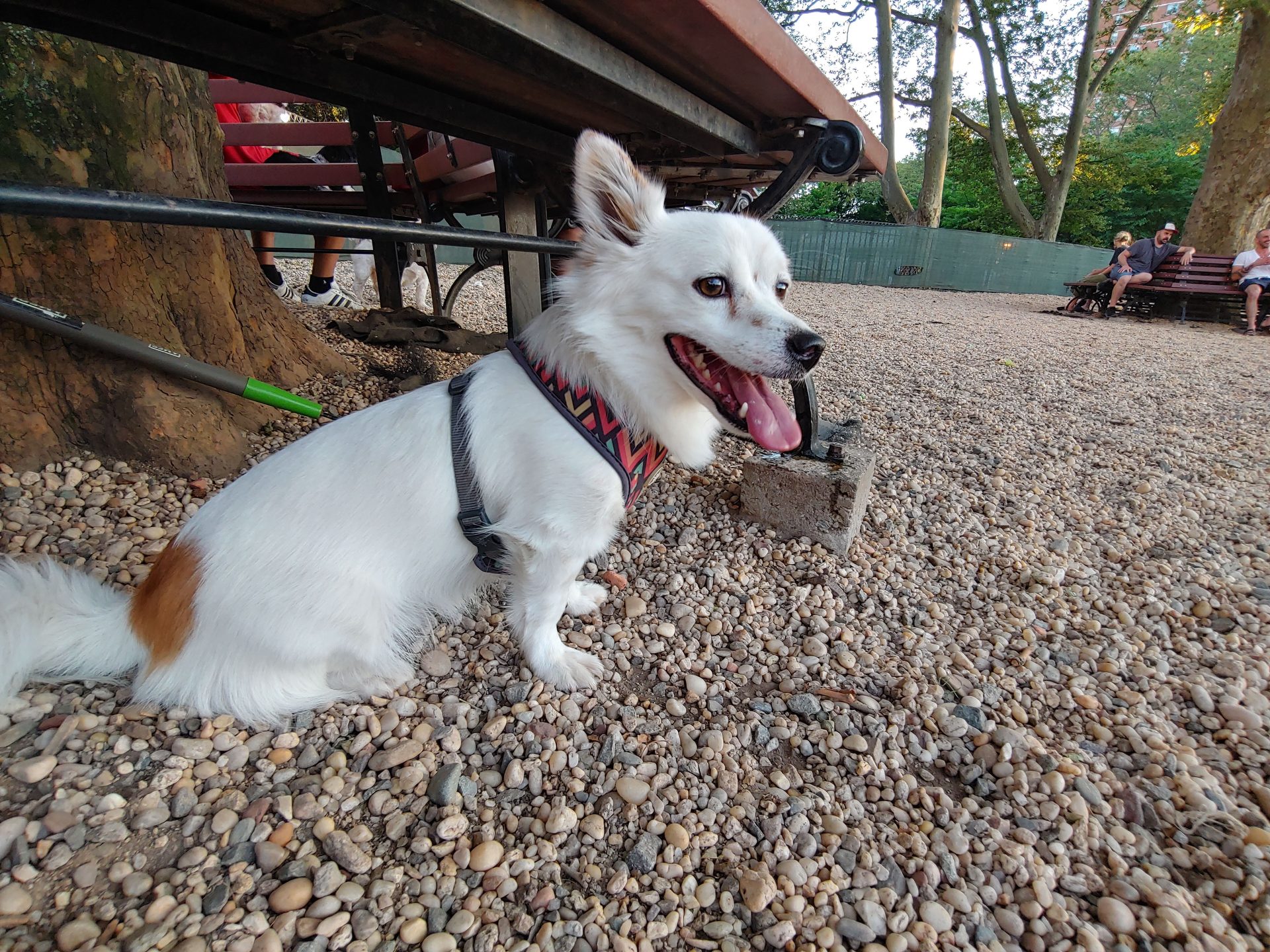 LG V50 ThinQ 5G review - Camera Samples