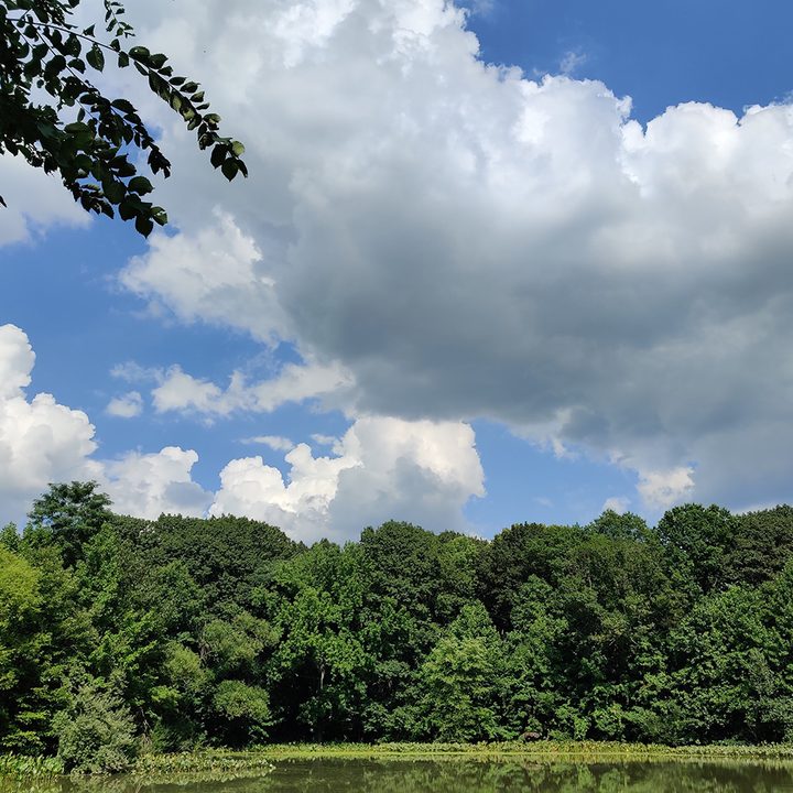 oneplus 7 pro pixel 3a zenfone 6 galaxy a50 midrange camera shootout daylight