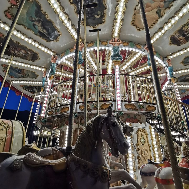 huawei p30 pro review horse