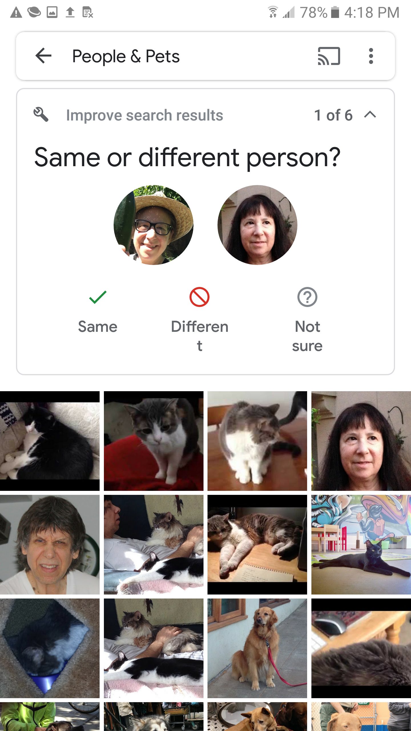 how to use google photos peoplepets