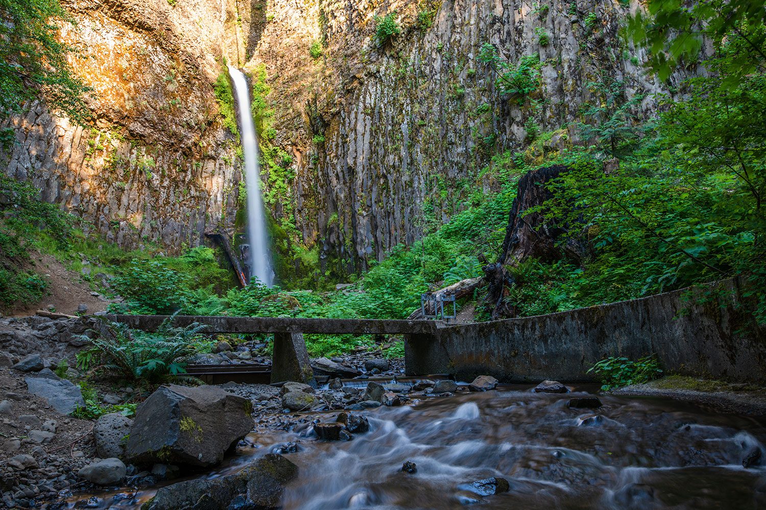 sigma 28mm f14 dg hsm art review sample 5