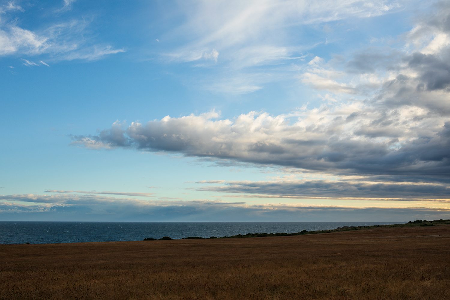 sigma 40mm f14 art lens review sample 17