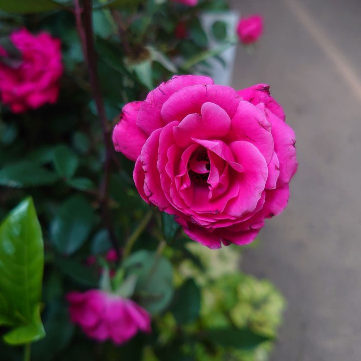 sony xperia 1 review camera sample 5