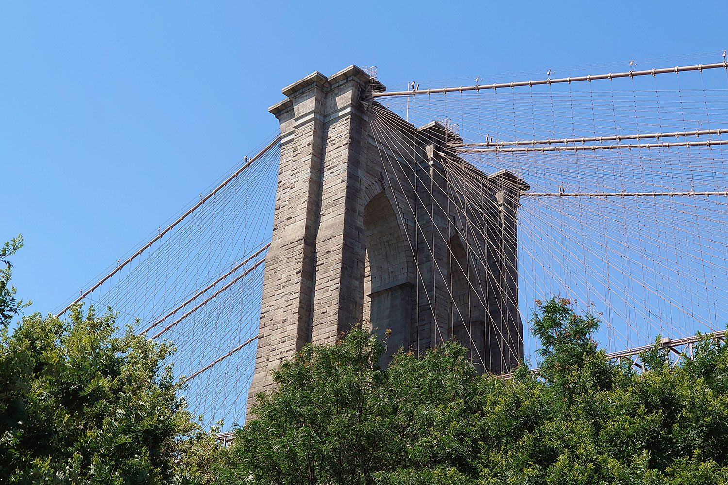 sony xperia 1 review camera sample telephoto