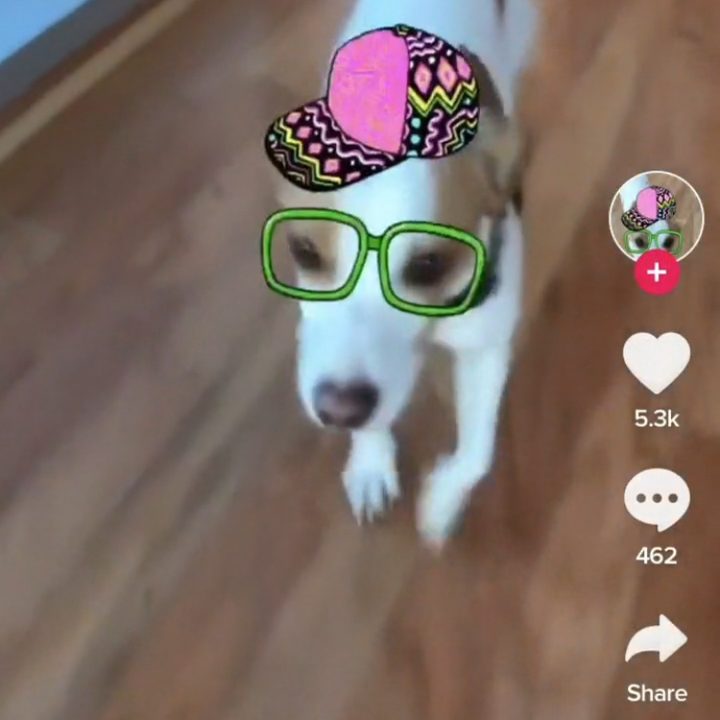 how to use tiktok 2 best ios apps