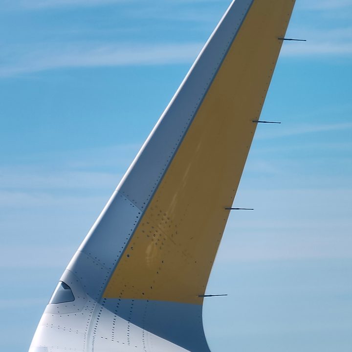 huawei p30 pro vs oppo reno 10x zoom camera shootout wing tip