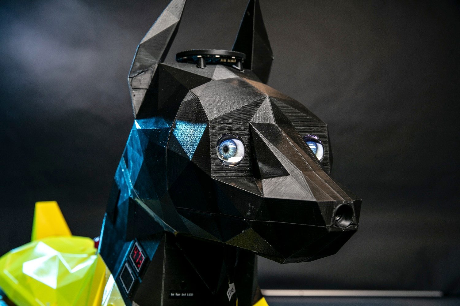 astro dog robot image 2