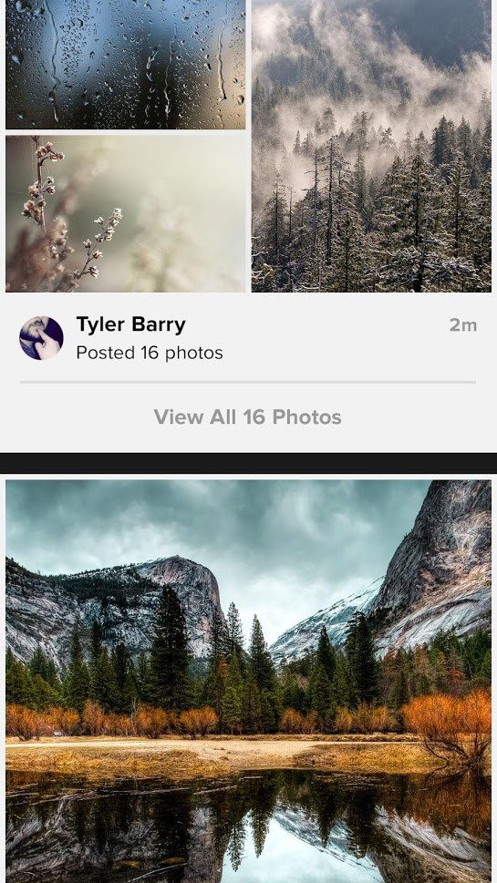 google app alternatives flickr 3