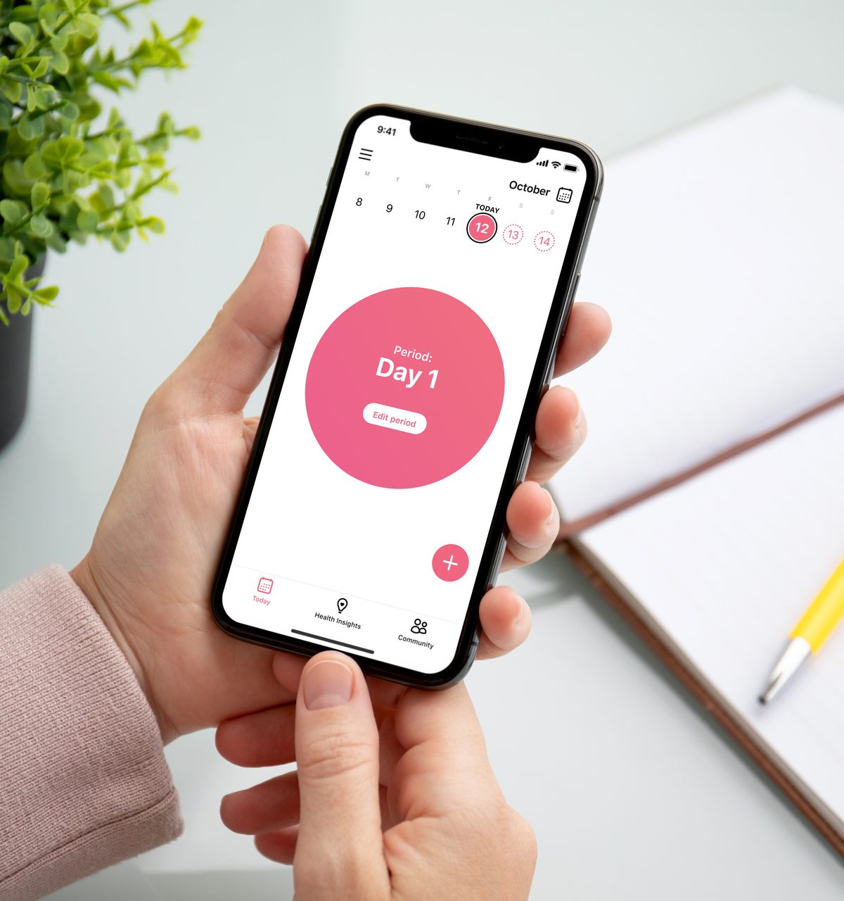 Flo app main screen