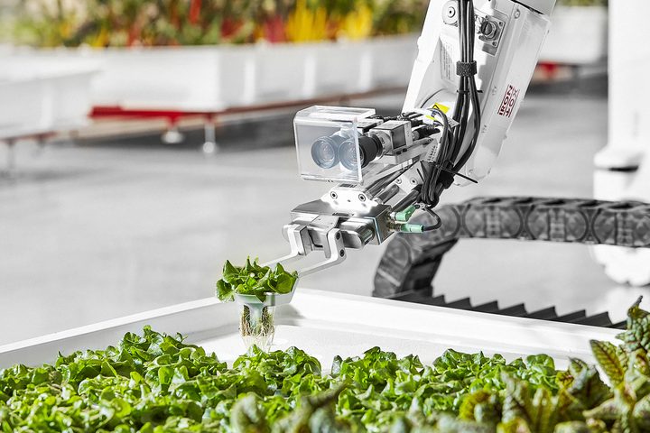 Iron Ox Automated farming