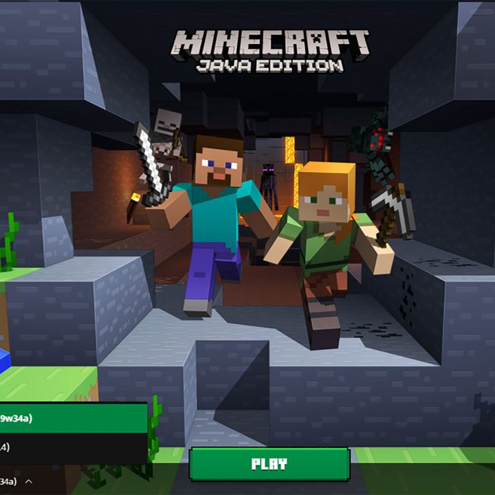 Java Minecraft bee version