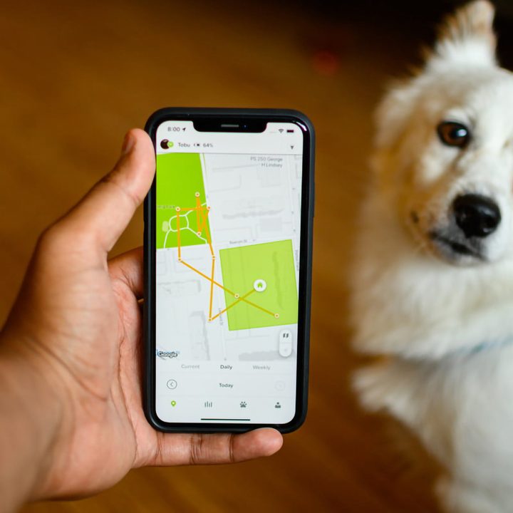 Pet tracker app.