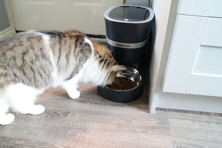 PetSafe Smart Feed Automatic Dog and Cat Feeder