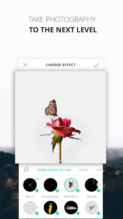 best cinemagraph apps vimage