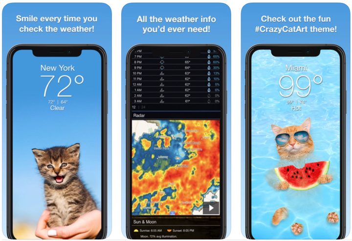 Weather Kitty