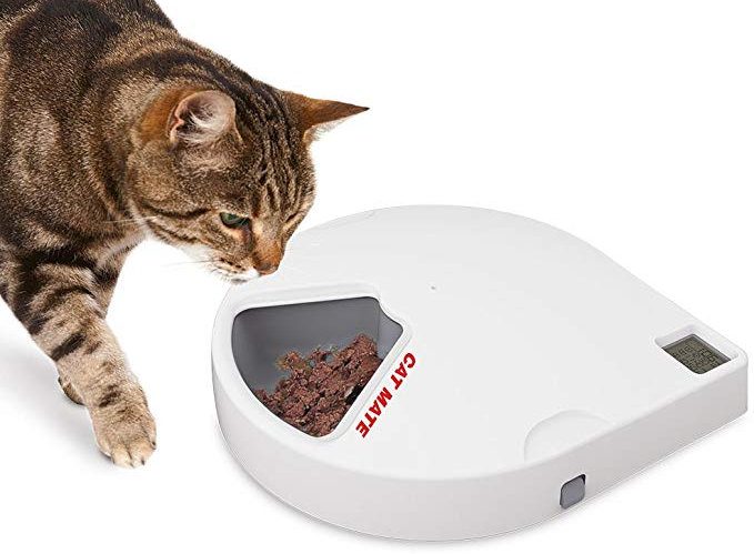 Cat mate feeder with cat.