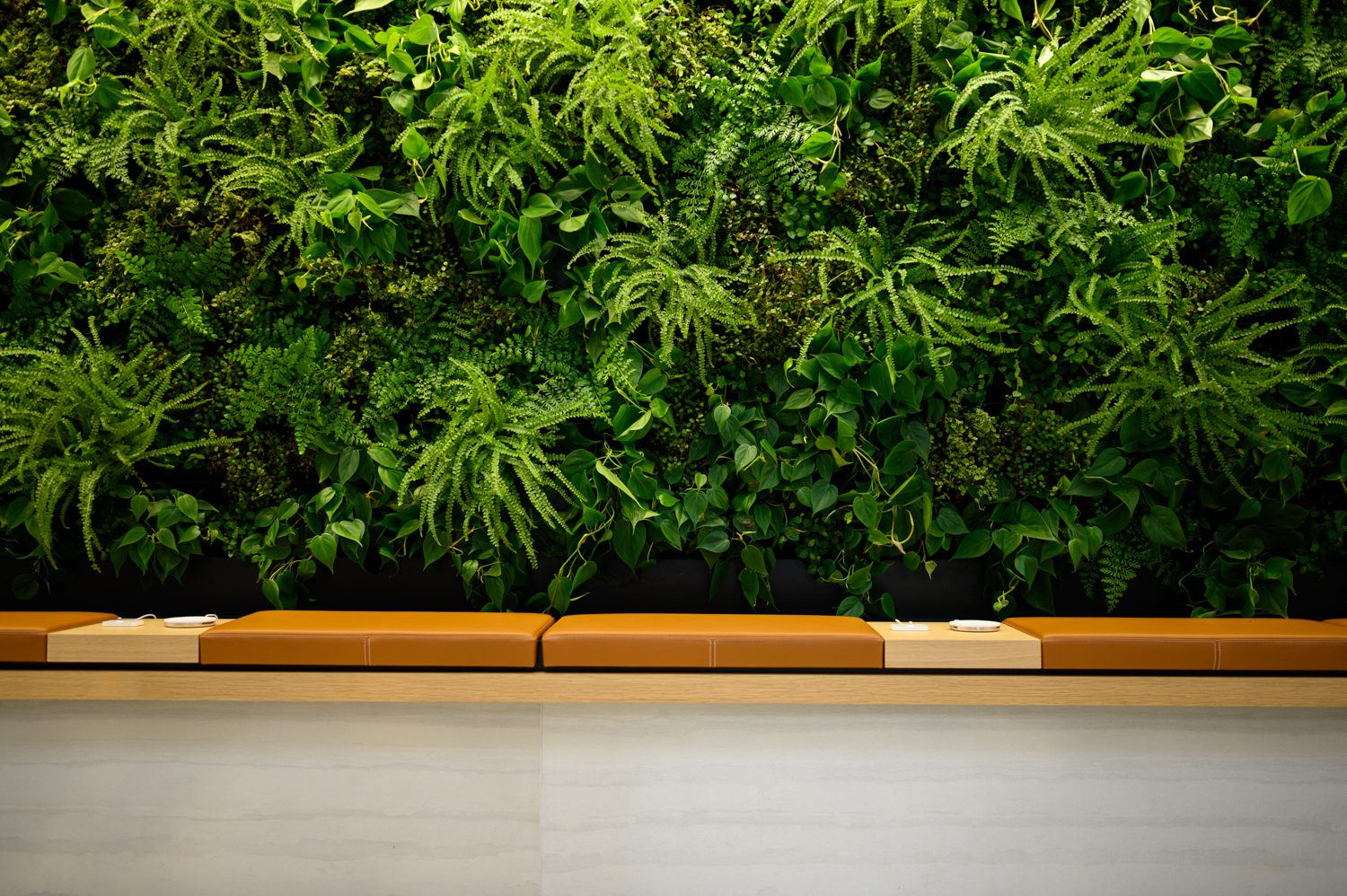 Apple Fifth Avenue Store