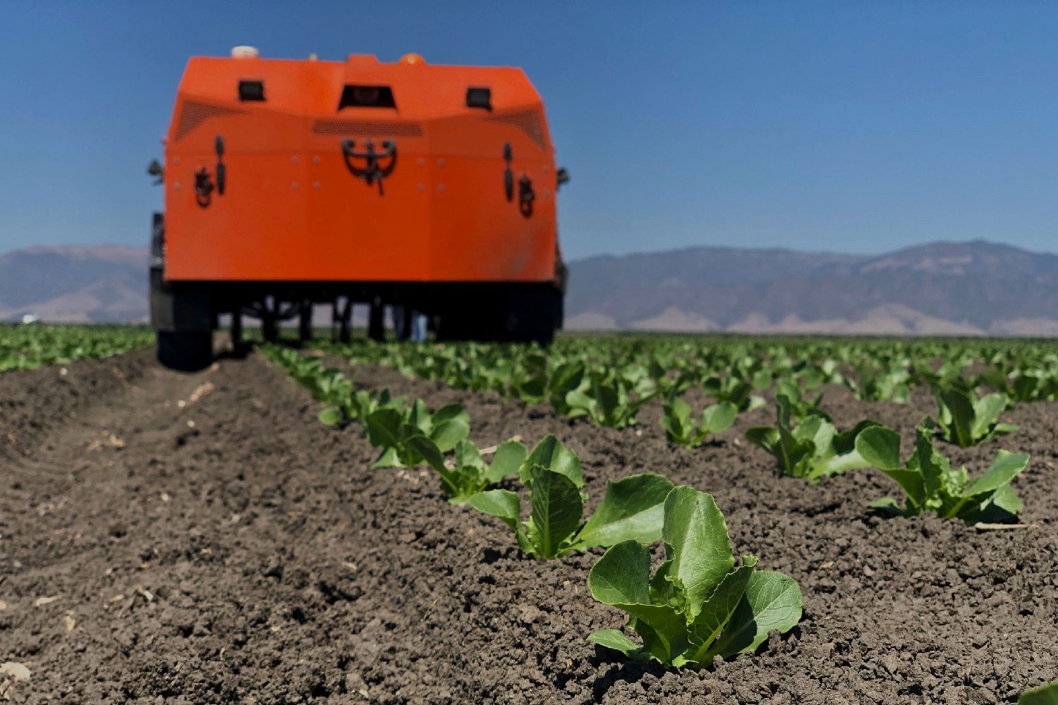farmwise weed killing robot robot1