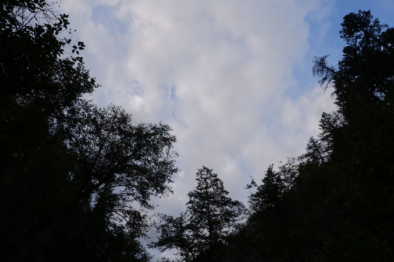 fujifilm x a7 review sample dm 1