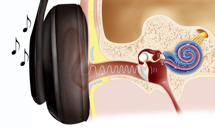 ear canal