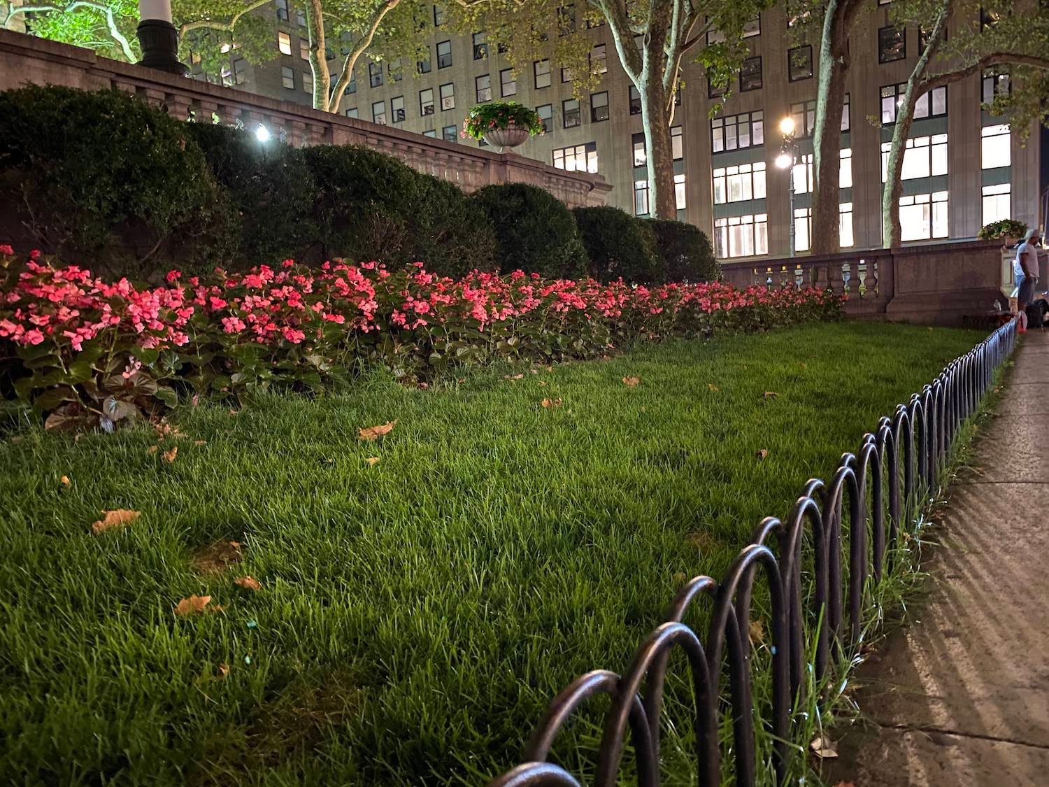 iphone 11 pro review versus night mode flowers on