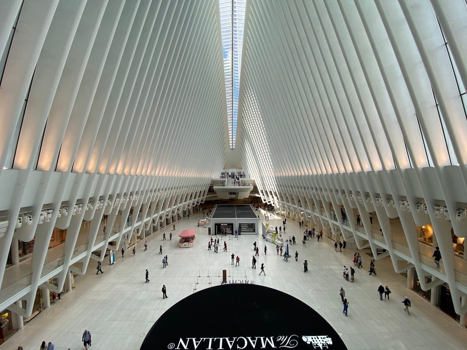 iphone 11 pro review wide angle oculus