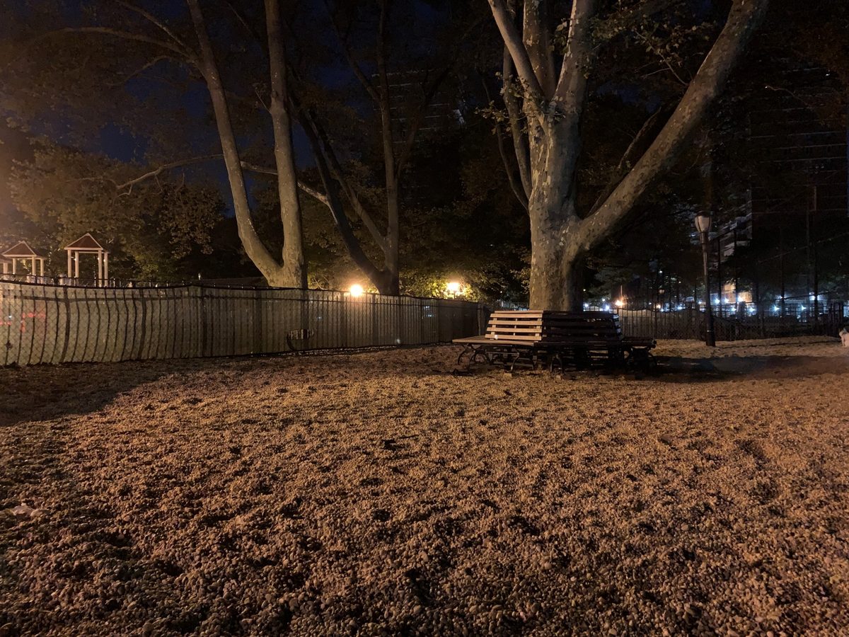iPhone XS Max dog park