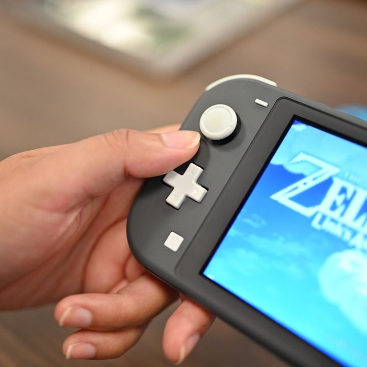Switch Lite