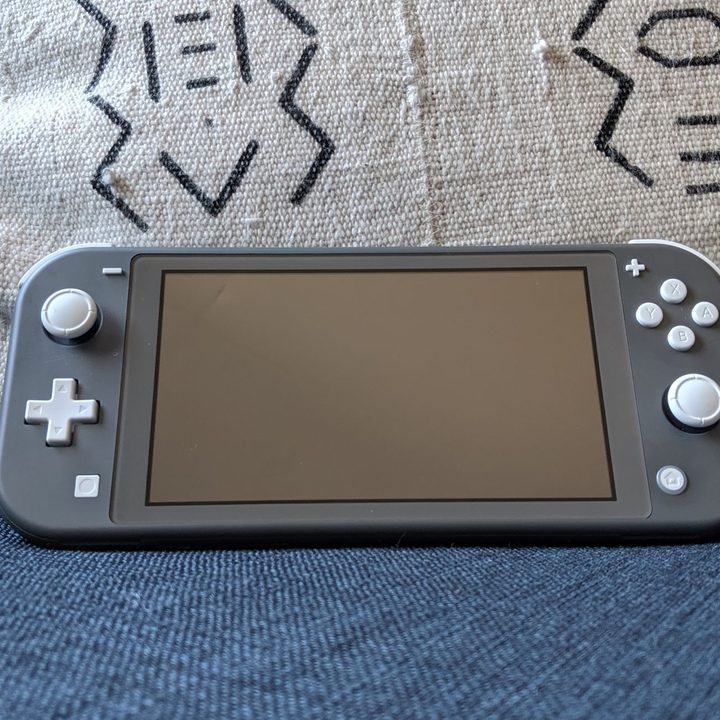 Switch Lite