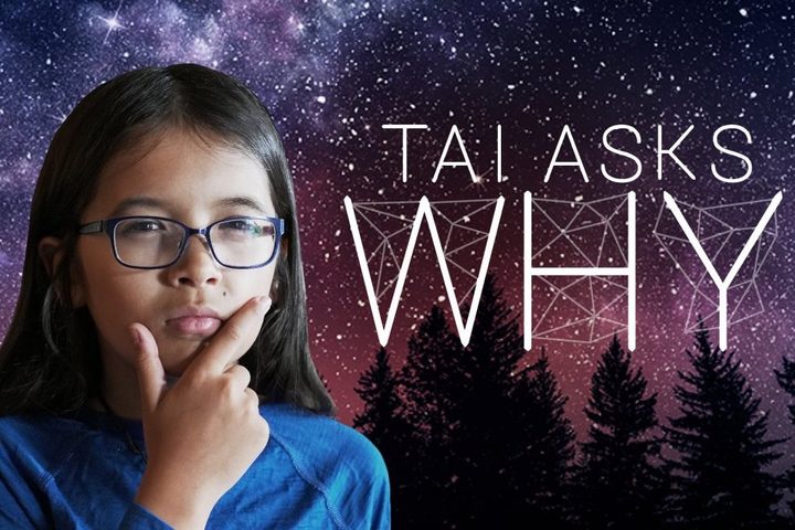 Tai Asks Why Podcast