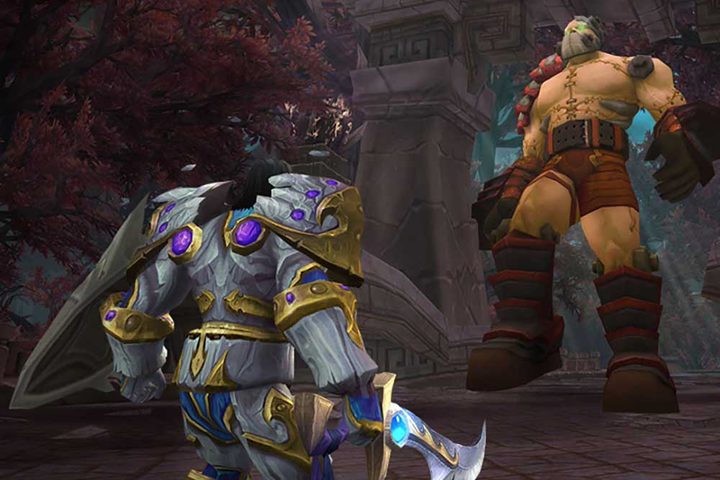 Protection Paladin tank