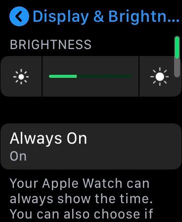 WatchOS 6's brightness menu.