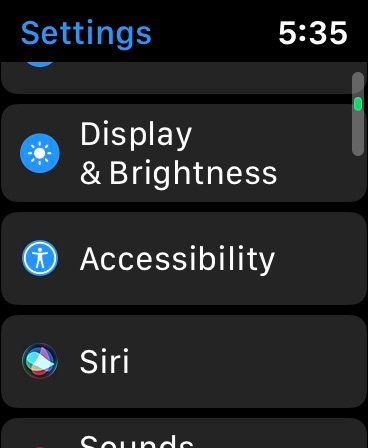 WatchOS 6's settings menu.