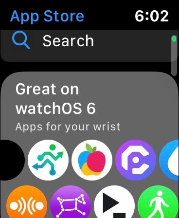 WatchOS 6's app store search.