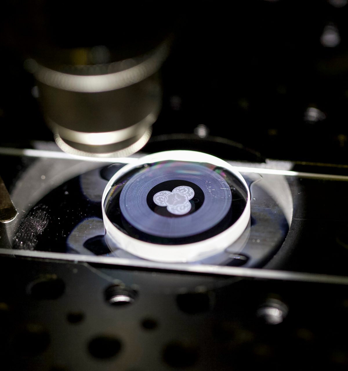Data stored on DNA synthetic polymer | 5D Memory Crystal
