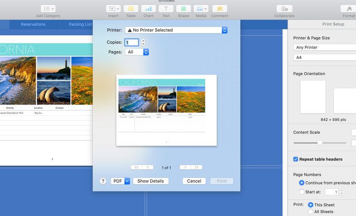 How to print to PDF in MacOS