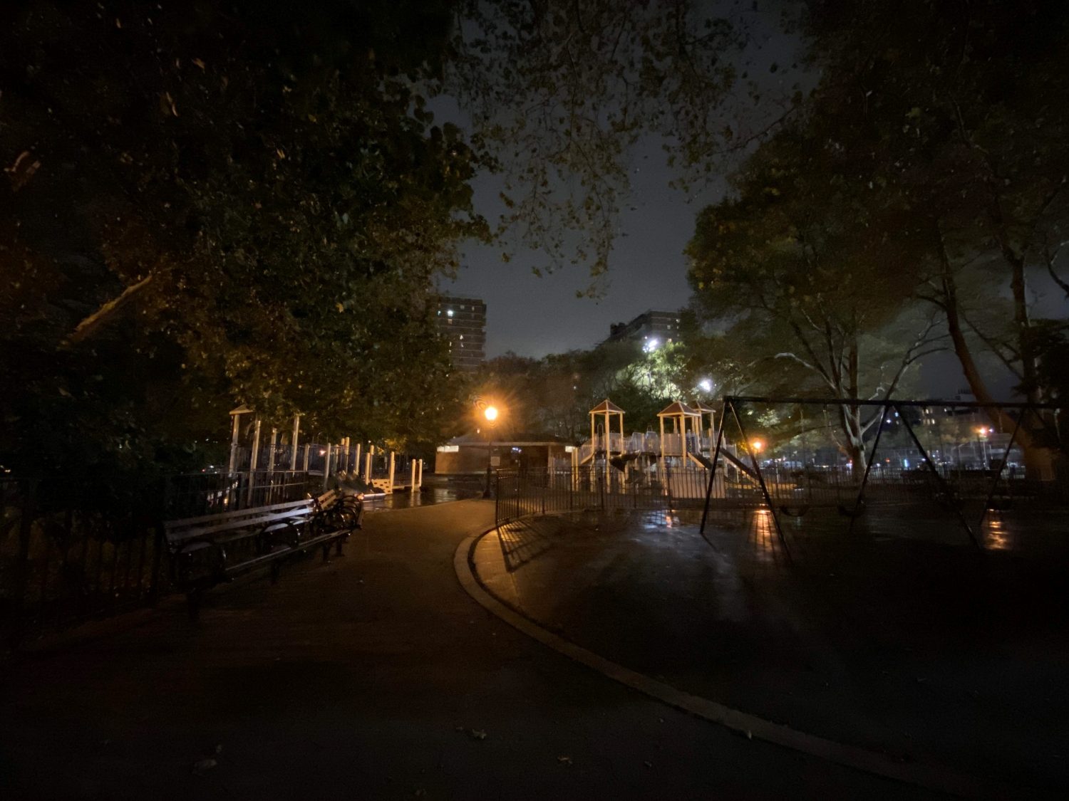 iphone 11 park