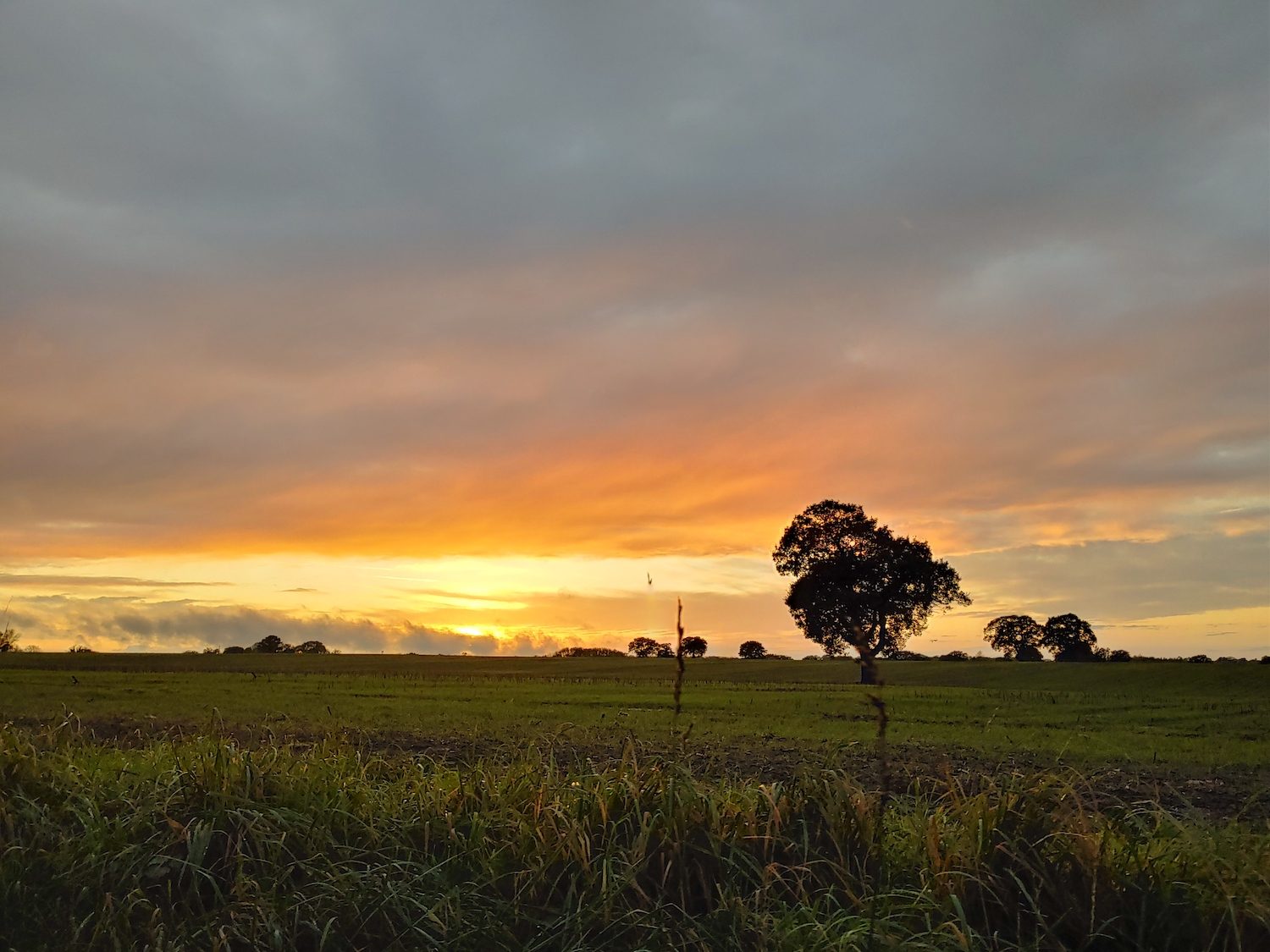 lg g8x thinq review camera sample 5
