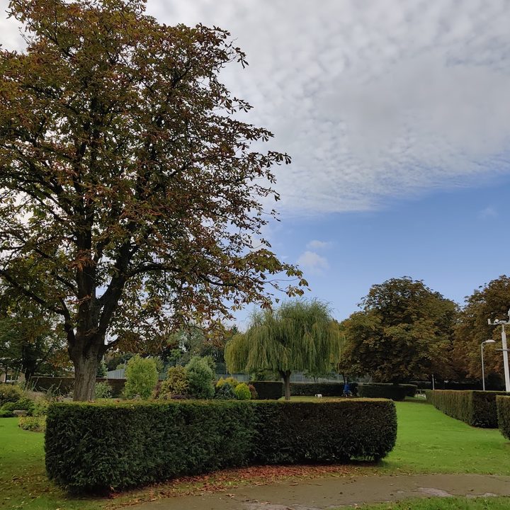 oneplus 7t pro review park