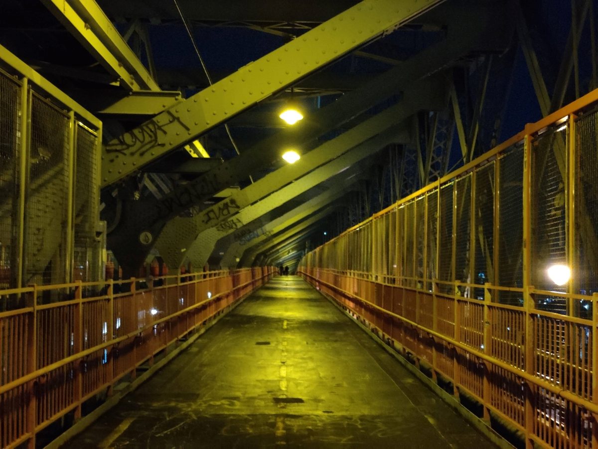 oneplus 7t telephoto bridge 2x