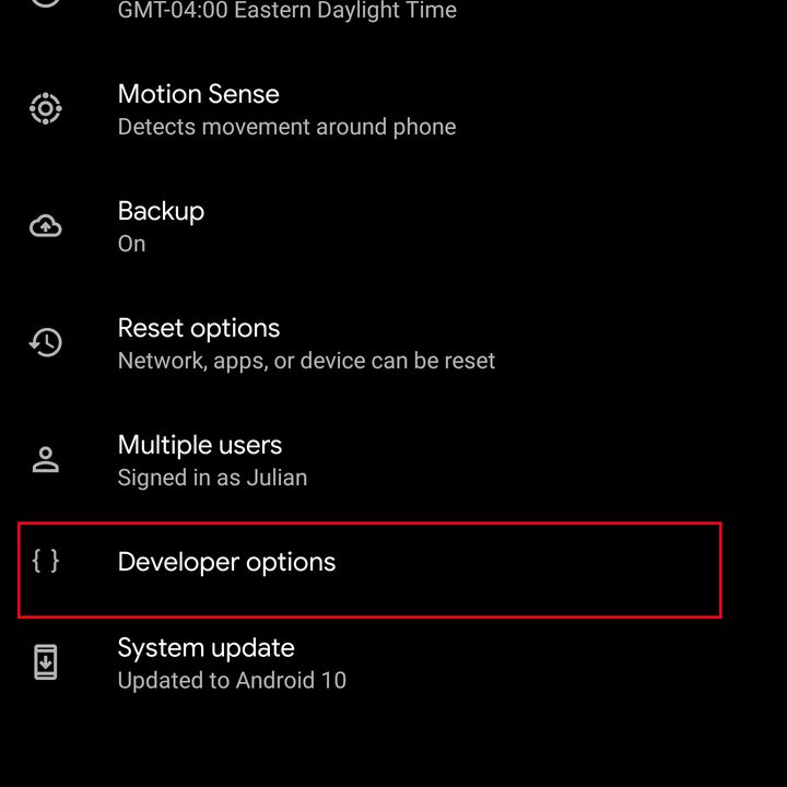 pixel 4 developer options