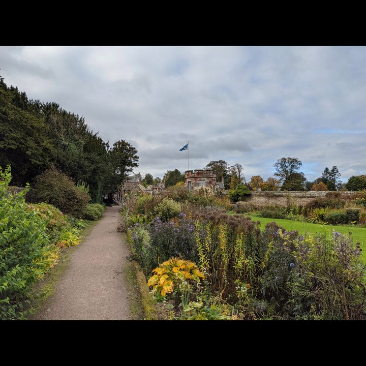 google pixel 4 camera guide edit photo 1