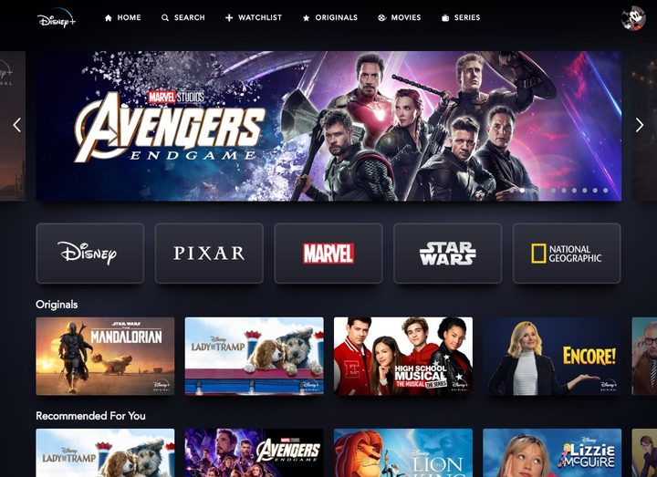 Disney+ Web Interface