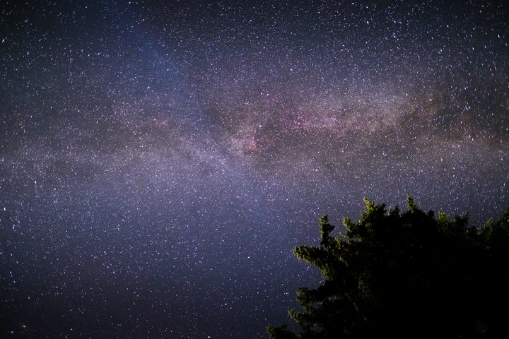 Photo of the Milky Way with tree in foreground
