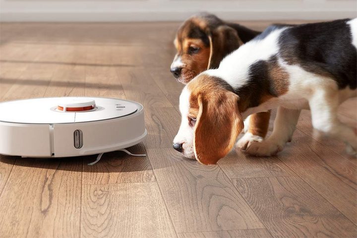 Pets with the Roborock vac.