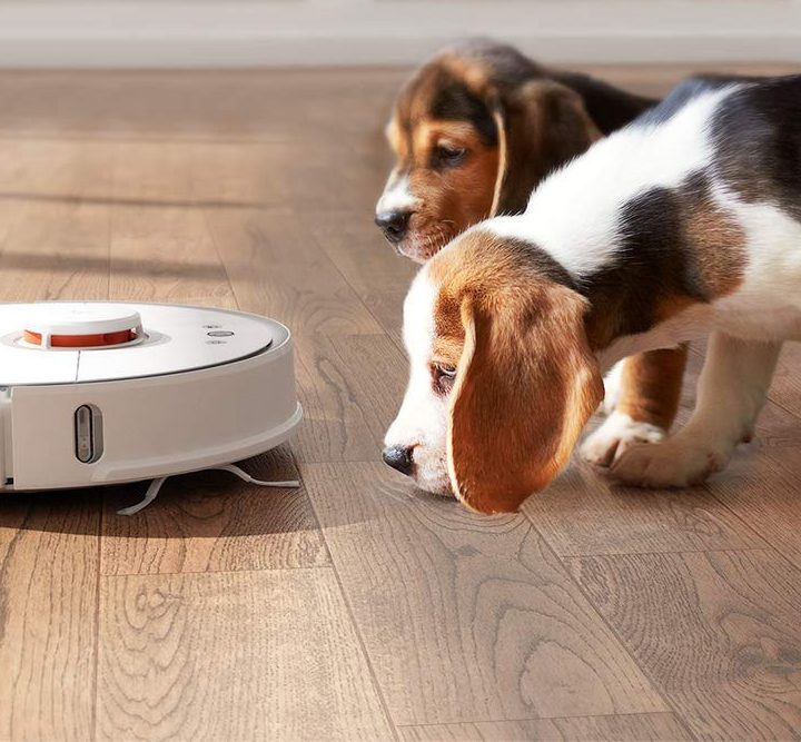 Pets with the Roborock vac.