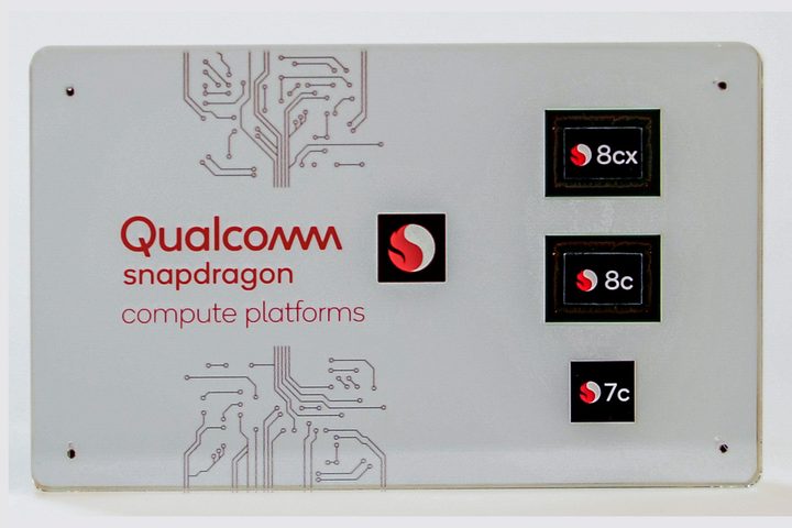 Snapdragon