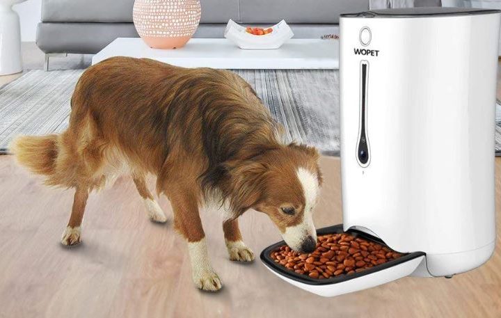 Dog eating kibble from WOPET feeder.