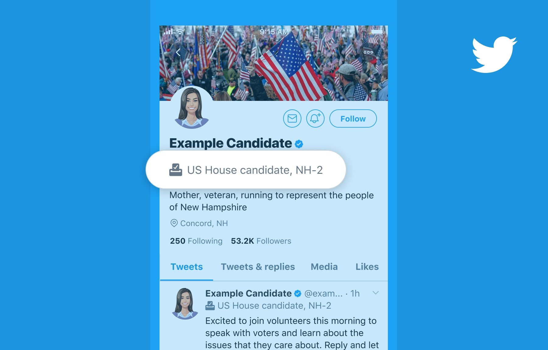Twitter Election Label